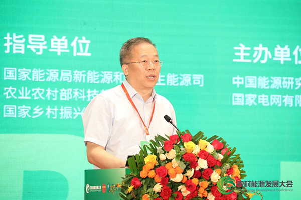 國(guó)家電網(wǎng)有限公司副總經(jīng)理陳國(guó)平致辭