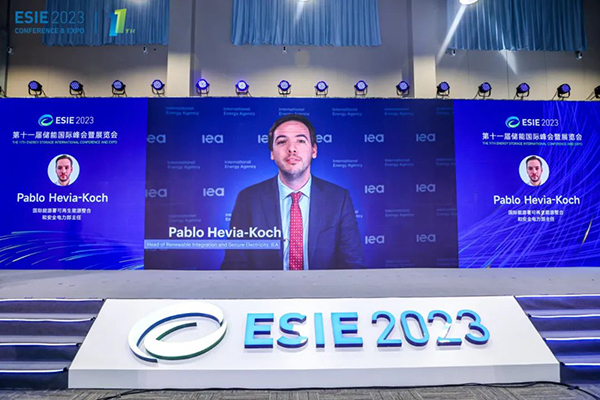 國際能源署可再生能源整合和安全電力部主任Pablo Hevia-Koch先生